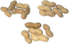 Erdnüsse-3x5.jpg